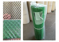 Green Plastic Mesh Netting 200-400gsm Anti Hail Anti Mole Net
