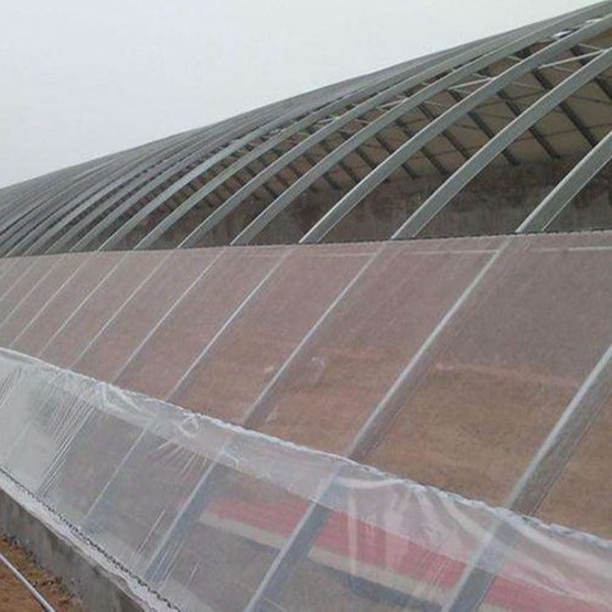 Durable Use Agriculture Shade Netting, UV Treated Insect Net, Olive Collecting Net for Fruits