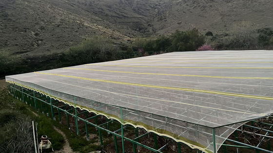 Les moustiquaires agricoles en PEHD UV résistantes aux insectes offrent une résistance aux déchirures